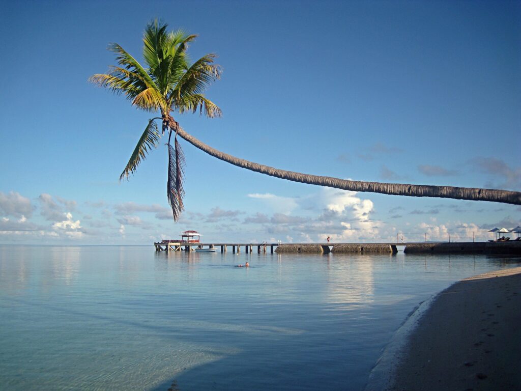 Panduan Lengkap Wisata ke Taman Nasional Wakatobi